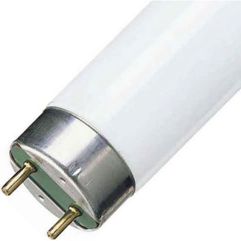 Philips TL-D Super 30W Sockel G13 6500K dimmbar Tageslicht