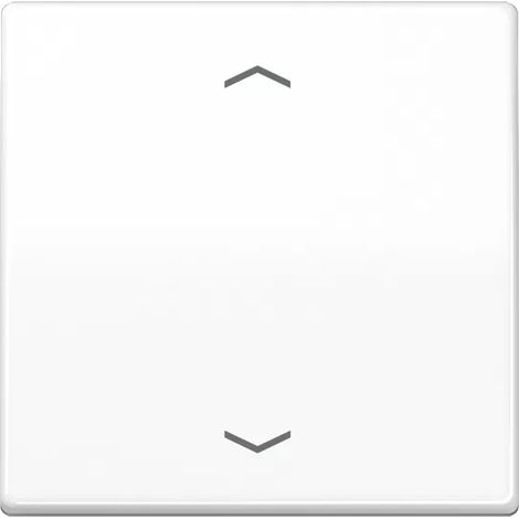 Jung Steuertaste Standard Symbole Pfeile AS 1700 P WW (1/2)