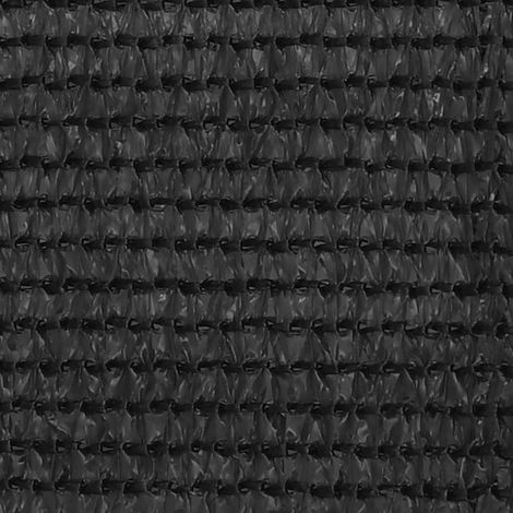 Maison Exclusive - Balkon Sichtschutz Anthrazit 120x600 cm HDPE (1/5)