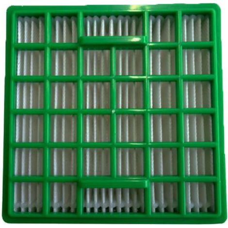 Filtro Hepa RS-RT3186 ROWENTA