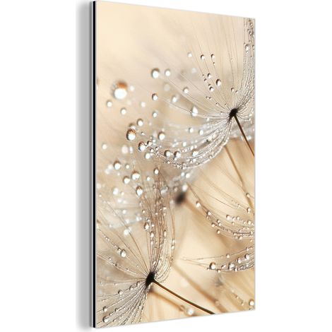 CUADRO DE METAL Diente de león - Abstracto - Naturaleza - Beige Cuadros Para Dormitorio 60x90 (1/5)