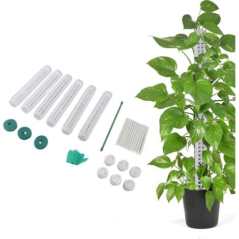 6-teiliges Moos-Pflanzenstützsystem aus Kunststoff mit individuellem Branding für Monstera, Efeutute und Efeu, 25 cm stapelbar, inklusive Zubehör (1/5)