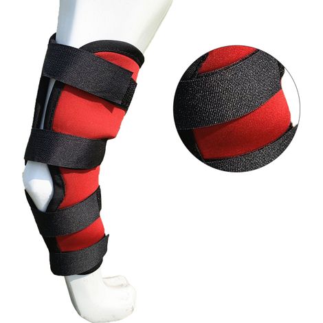 Attelle élastique réglable pour patte de chien, bandage de compression antidérapant, support et protection pour patte d'animal de compagnie en cas de blessure arthritique, rouge XL (49 g/1,7 oz) (1/5)