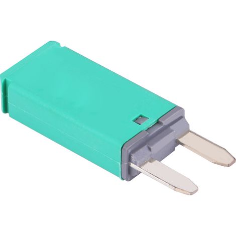 Disjoncteur automatique réarmable 14V CC 30A vert, fusible lame pour voiture camion bateau camping-car, protection circuit (1/5)