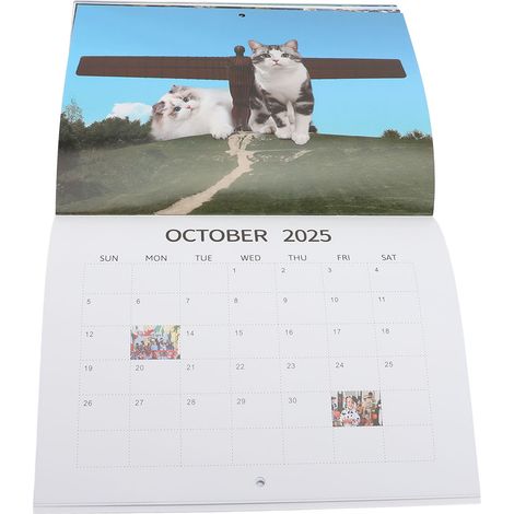 Calendrier mural 2025, motif chats rigolos, calendrier mensuel à suspendre pour la maison et le bureau (1/5)