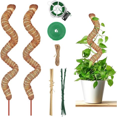 2 Pièces Tuteur Plante, 120cm Tuteur Coco Support pour Plantes Grimpantes, Poteau de Coco pour Maison Jardin, Plante Grimpantes Extension de Support de Plante (1/5)