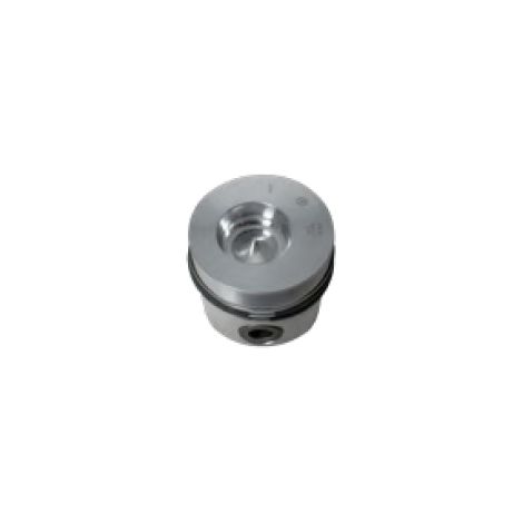 Pistone segmenti STANDARD 100 mm motore DIESEL LOMBARDINI 5LD824/3