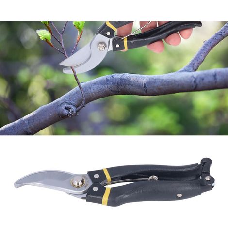Ciseaux de Jardinage Faciles à Utiliser pour Taille des Arbres Fruitiers et des Branches - Outils de Jardin Parfaits pour la Pruning et l'Entretien du Jardin - KZQ