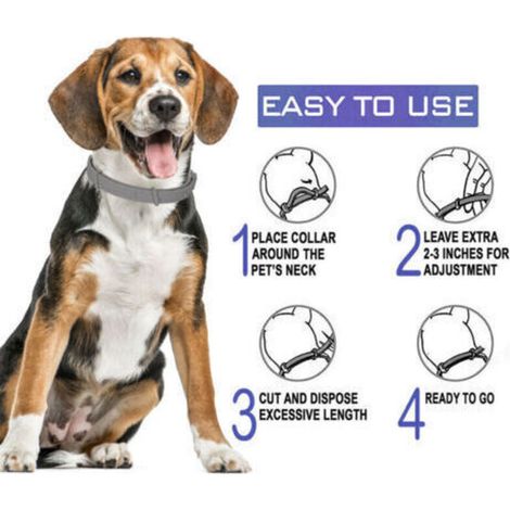 Collier anti-puces et anti-tiques réglable pour la protection anti-insectes 62cm de chien de petits chats (1/3)