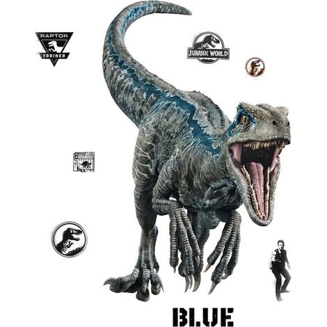 Stickers repositionnables Jurassic World : Fallen Kingdom - Vélociraptor Bleu (1/5)