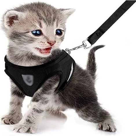 Set composto da pettorina e guinzaglio grigi per gatti, pettorina antifuga, guinzaglio regolabile per gattini, gilet per gattini, taglia S (1/5)