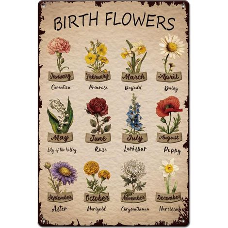 Plaque Metal Vintage Fleurs De Naissance En Métal 12 Modèles Mensuels Plaque Metal Decorative Art Floral Pour Salon Chambre Jardin Bar Affiche Vintage Exterieur Metal (1/5)