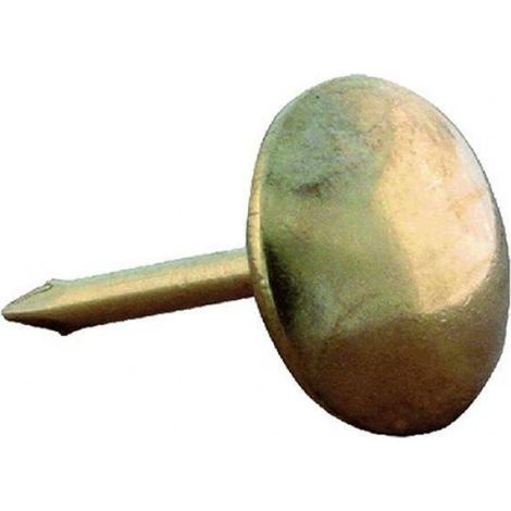 Bullette per tappezziere specificamente utilizzate per lavori di tappezzeria in blister -12 mm / 20 pz / Sfumate