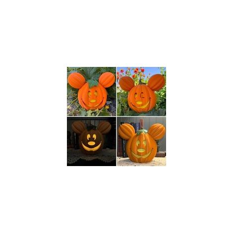 Mini citrouilles lumineuses d’Halloween, lanternes décoratives pour extérieur, automne et fête – (1/5)