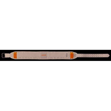 WT 1056 1 Cinturón profesional acolchado
