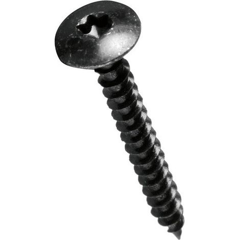Lot de 8 vis en inox 1/2 cylindrique, VISSAL, diam. 6 mm x L.30 mm