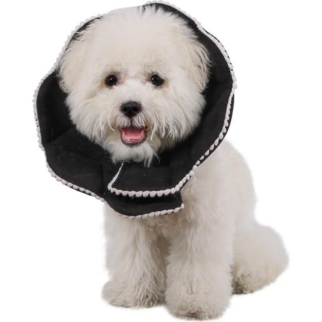Komfortabler postoperativer Kragen für Katzen und Hunde, robust, wasserdicht, kratzfest, bissfest, leicht zu reinigen, mit verstellbarem Verschluss (schwarz)