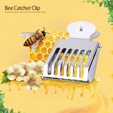 pince à reine en métal pour attraper les reines d'abeilles, outil de capture en cage, matériel apicole en acier (1/5)