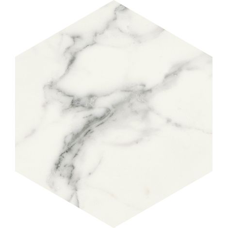 Carrelage sol / mur hexagonal effet marbre blanc mate 25x21,6 cmSCULTOREA statuario vena argento esagona J469 (vendu par boite de 1,17m2) (1/3)