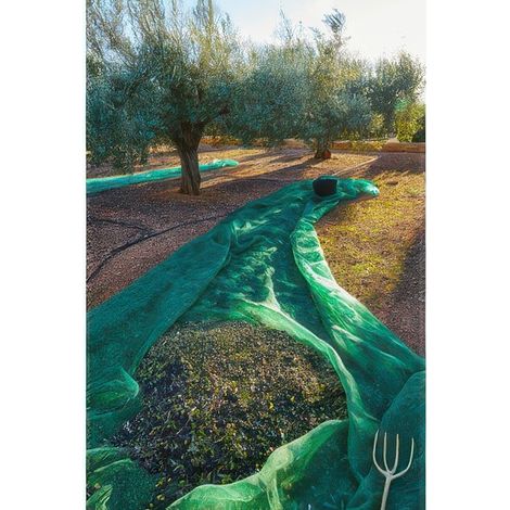 Filet de R�colte des Olives Anti-�pines 4 x 50 m de 80 g/m� en Monofilament de Poly�thyl�ne