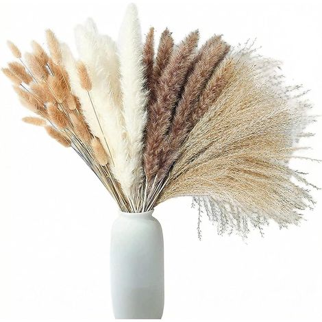 100 Pièces Bouquet Fleurs Sechees Naturelles Pampas Sechees (1/5)