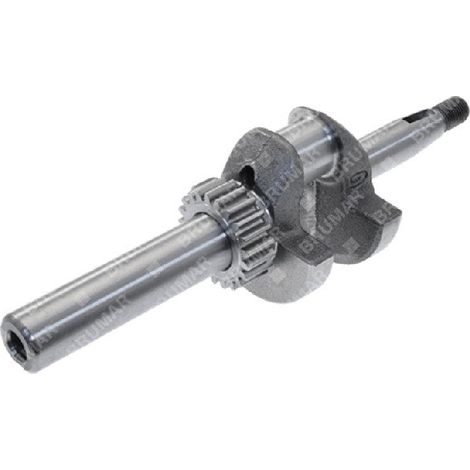Albero motore per motori DAYE - DAYEE Y6410000000 Compatibile - 055047