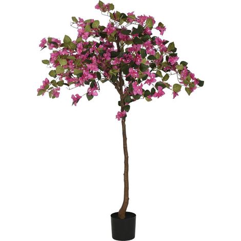 Planta Pe 80X80X150 Buganvilla Fucsia (1/4)