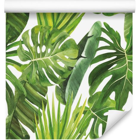 Papier peint à motifs de feuilles de Monstera vertes pour salon et chambre 50x1000 cm (1/5)