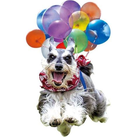 Pendentif Chien - Décoration Acrylique pour Rétroviseur Auto - Suspension pour Sacoche ou Intérieur Maison - Lot de 1 (1/4)