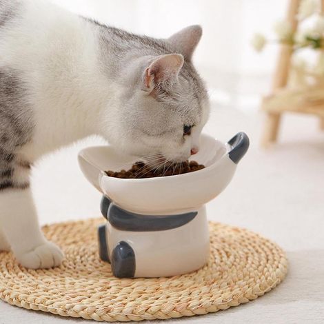 Tilted Raised Bowl for Kittens, Anti-overbending Comfortable Feeding Bowl for Cats