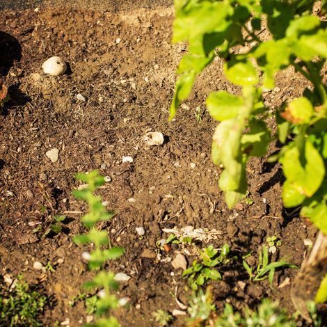 Gartenfräse 2 in 1 (1/5)