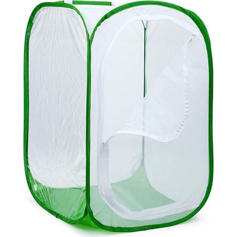 Filiyano-Grand terrarium pliable pour papillons, filet à insectes pour l'élevage d'insectes (1/4)