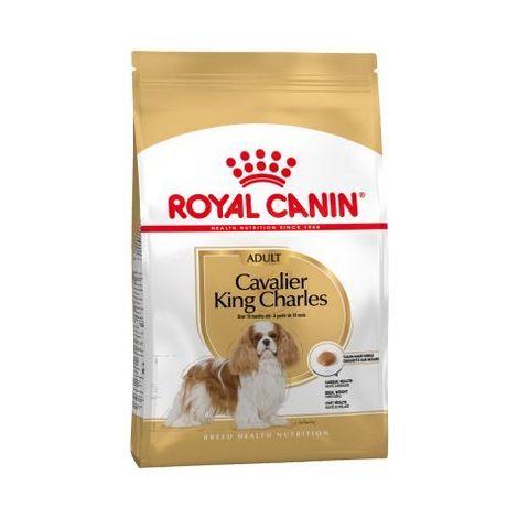 Dog Food Royal Canin SHN Breed Cavalier K C 1.5 kg