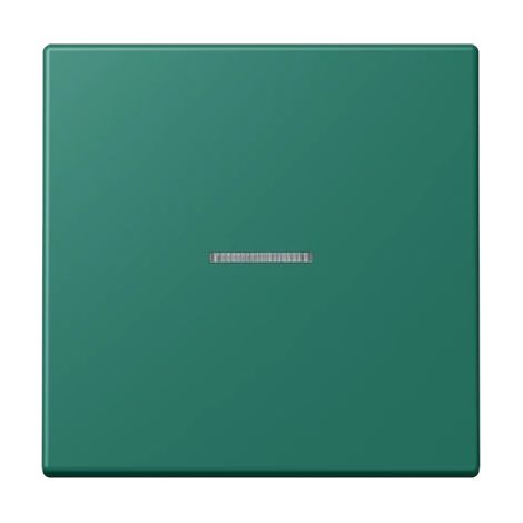 Jung Wippe für KNX Taster, F10, mit Lichtleiter, Duroplast lackiert, Serie LS, vert anglais (32040) LC 101 KO5 216