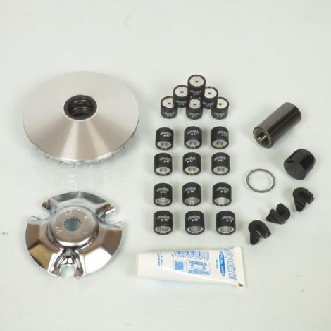 polini variator für roller mbk 125 skycruiser nach 2006 241.646 /