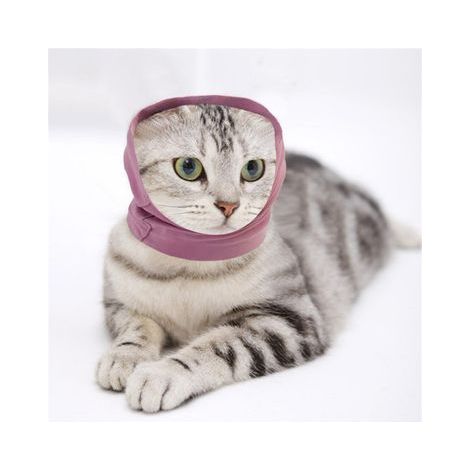 Hals- und Ohrenschutz für Hunde und Katzen, Größe M (1/5)