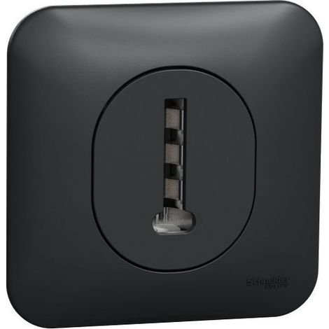 Ovalis - Prise téléphone en T - 8 contacts Avec plaque de finition -Anthracite (S460496)