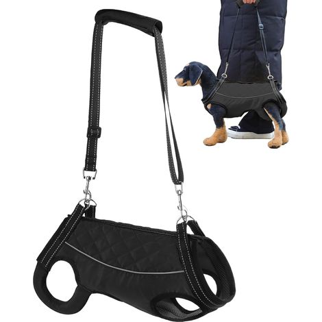 de levage pour chien g Harnais r fl chissant pour pattes (1/5)