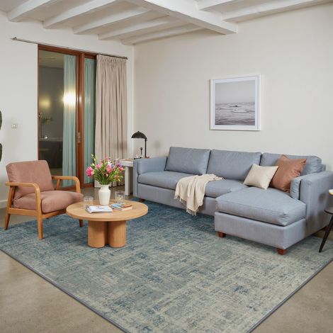 Tapis Salon Résumé 200x290cm Lavable en Machine Rug AntidéRapant Poil Ras, pour Chambre Salle a Manger Descente de Lit Bureau, Cuisine, Bleu Cendré (1/5)