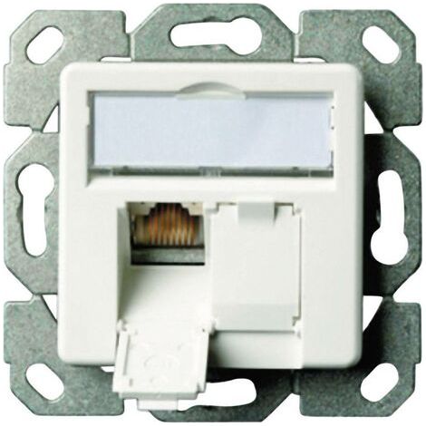 Prise réseau encastré insert avec plaque centrale CAT 5e 2 ports Telegärtner J00020A0389 blanc-alpin Q014471 (1/4)
