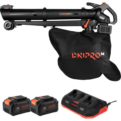 Aspirador, soplador y triturador de jardín a batería Dnipro-M DVB-200BC Dual 20 V, 3 en 1. 2 baterías 8Ah + cargador doble (1/5)