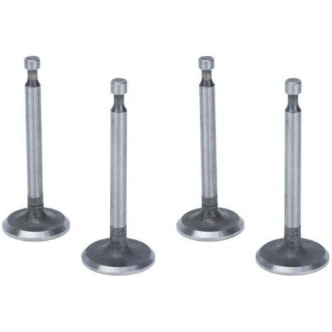 Valve set, 2 sets of stainless steel inlet valves for 2kW, 2.5kW and 3kW engines of the 168F and GX160 series.