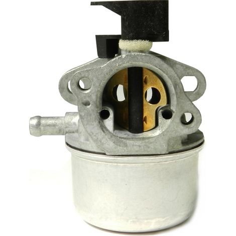 Carburateur moteur Briggs et Stratton 790978 (1/5)