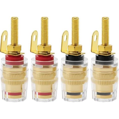 Fiches bananes 4 mm pour haut-parleur amplificateur. (1/5)