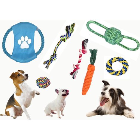 Jouet à tirer pour petits chiens, ensemble de 7 accessoires de jeu (1/4)