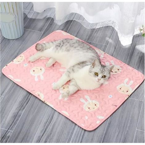 Tapis de refroidissement - Doux - Rose - Taille L 60x45 cm - Respirant - Antidérapant (1/4)