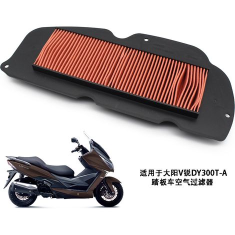 Geeignet für Dayang V-Ray 250T-A und 300T-A Motorräder, VOREI ADV350-6 Luftfilterelement. (1/5)