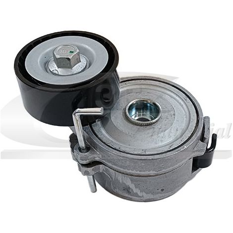 3RG 13259 RODILLO TENSOR