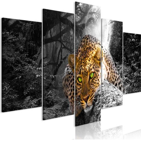 Tableau Imprimé 5 Panneaux "Leopard Lying Wide Grey" 50 x 100 cm (1/2)