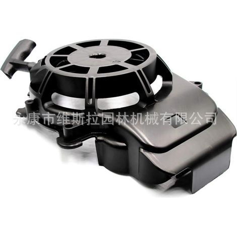 Lanceur Briggs & Stratton 594062 pour jardinage (1/5)